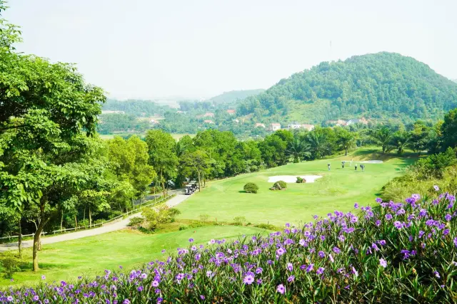 Amber Hills Golf & Resort