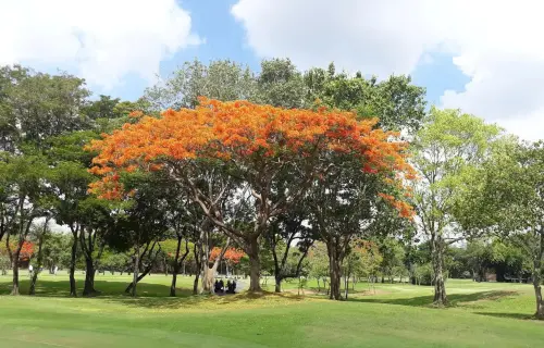 Navatanee Golf Course