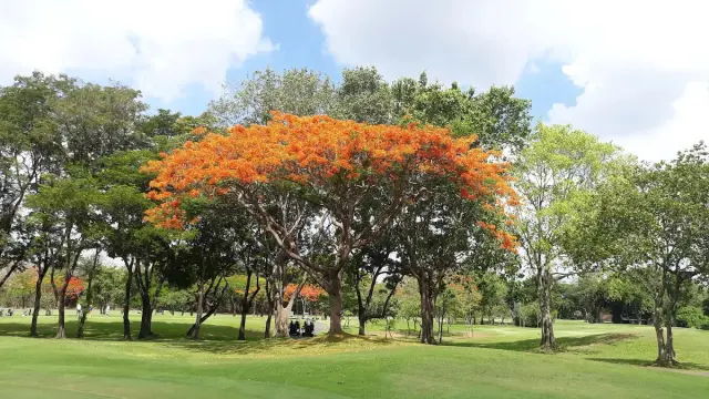 Navatanee Golf Course