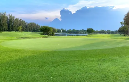 The Pine Golf & Lodge