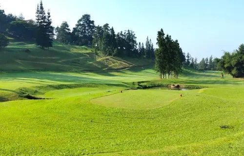 Dago Heritage 1917 Golf Club