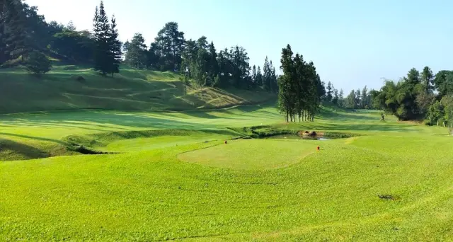 Dago Heritage 1917 Golf Club