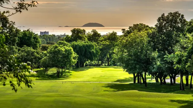 Phoenix Gold Golf & Country Club