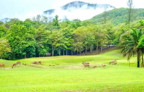 Wangjuntr Golf and Nature Park
