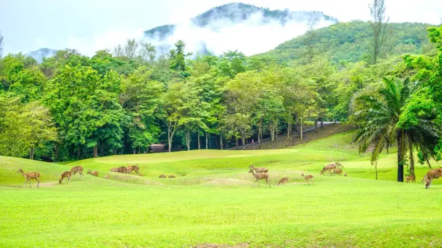 Wangjuntr Golf and Nature Park