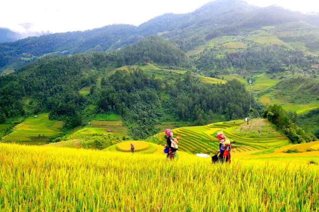 Vietnam – A Tapestry of Natural Beauty
