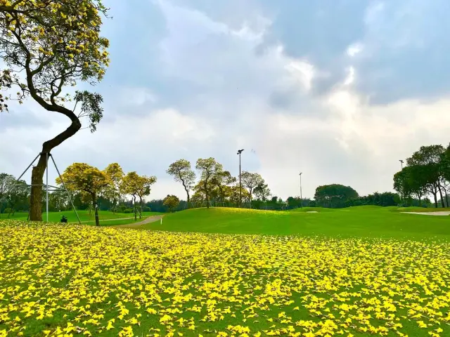 The Best Times to Visit Southeast Asia for Golfing