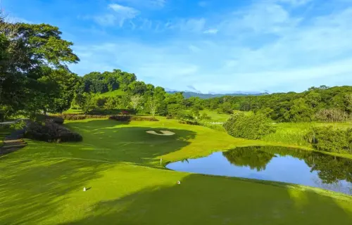 Mimosa Plus Golf Course