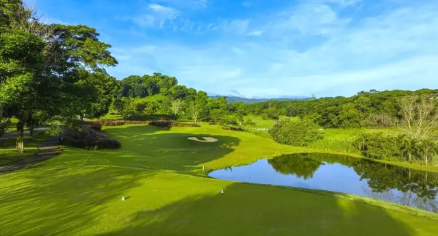 Mimosa Plus Golf Course